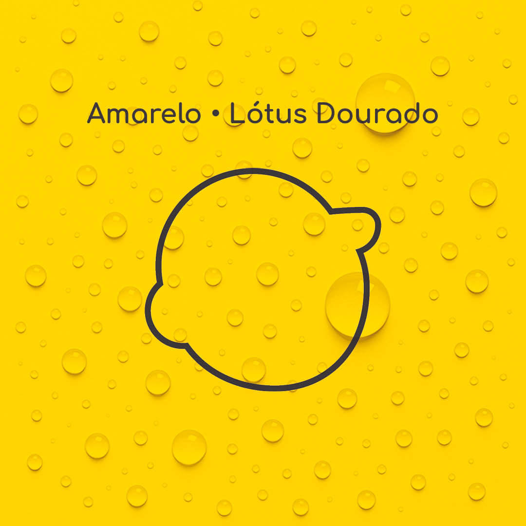 Solução Super Total Borracha Líquida